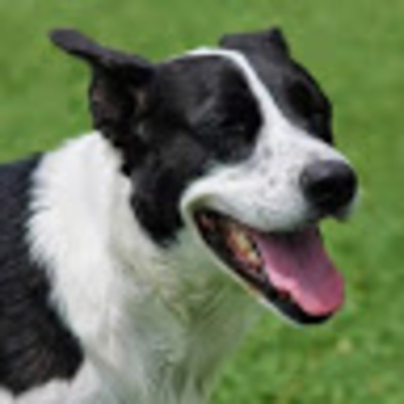 Meet your Posher, Colleen - Picture 1 of 1